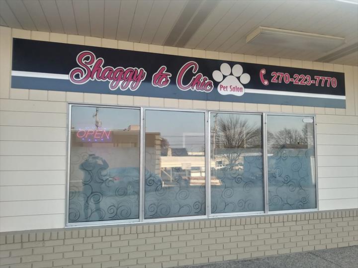 Shaggy to Chic Pet Grooming Bowling Green, KY
